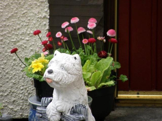Kettle House B&B Fort Augustus Exteriör bild