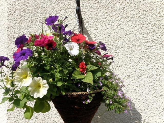 Kettle House B&B Fort Augustus Exteriör bild